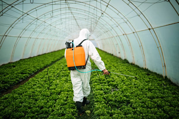 Reliable Augusta, WI Pest Control Solutions