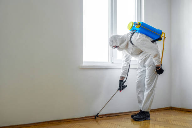 Best Ant Control Services  in Augusta, WI