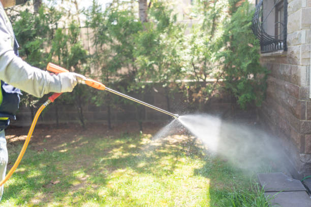 Best Bird Control  in Augusta, WI
