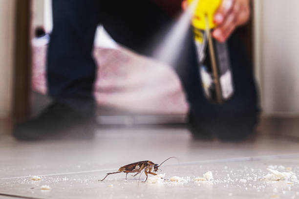 Flea Control Services in Augusta, WI
