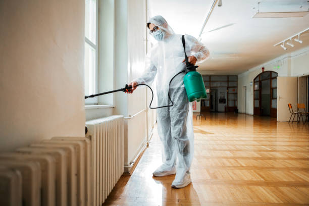 Best Local Pest Control Services  in Augusta, WI
