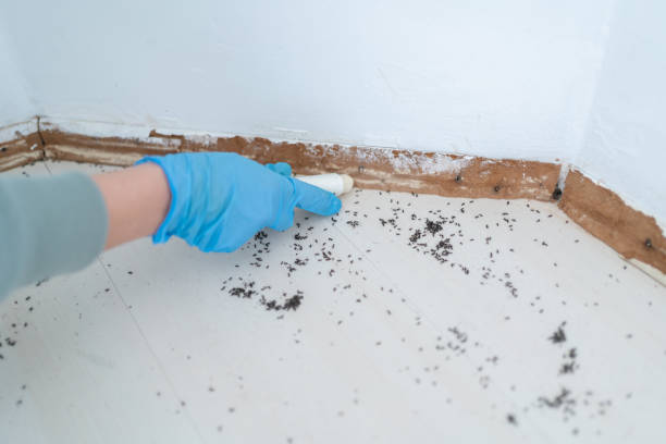 Best Commercial Pest Control Services  in Augusta, WI