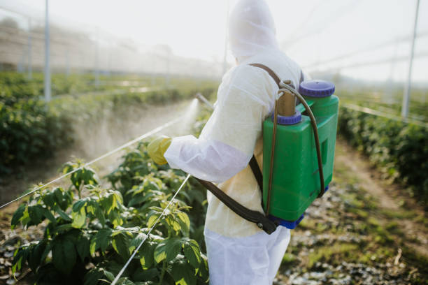 Best Best Pest Control Companies  in Augusta, WI